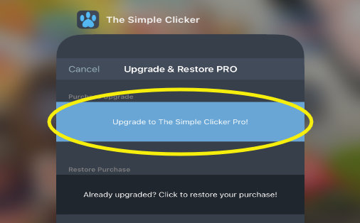 The Simple Clicker PRO Upgrade